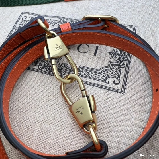 Hyper Peter Diana mini tote Gucci bag 0823